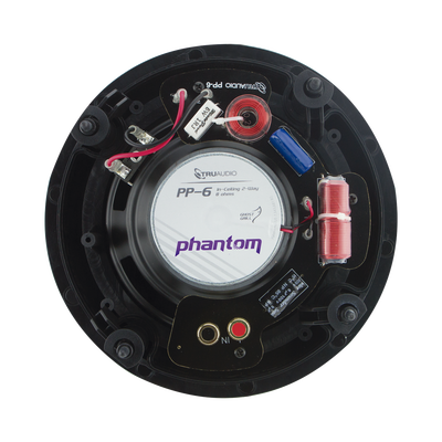 Altavoz de techo de 2 vías / Tweeter giratorio / 5-120 watts.